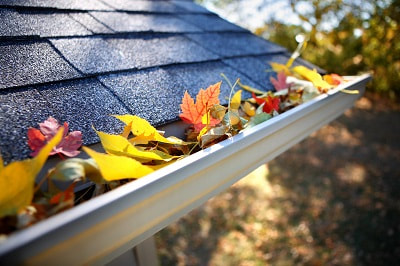 Gutter Repair